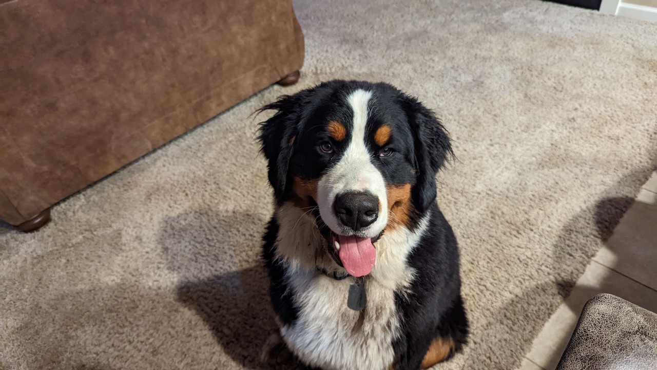 Photo of Others in Hunters