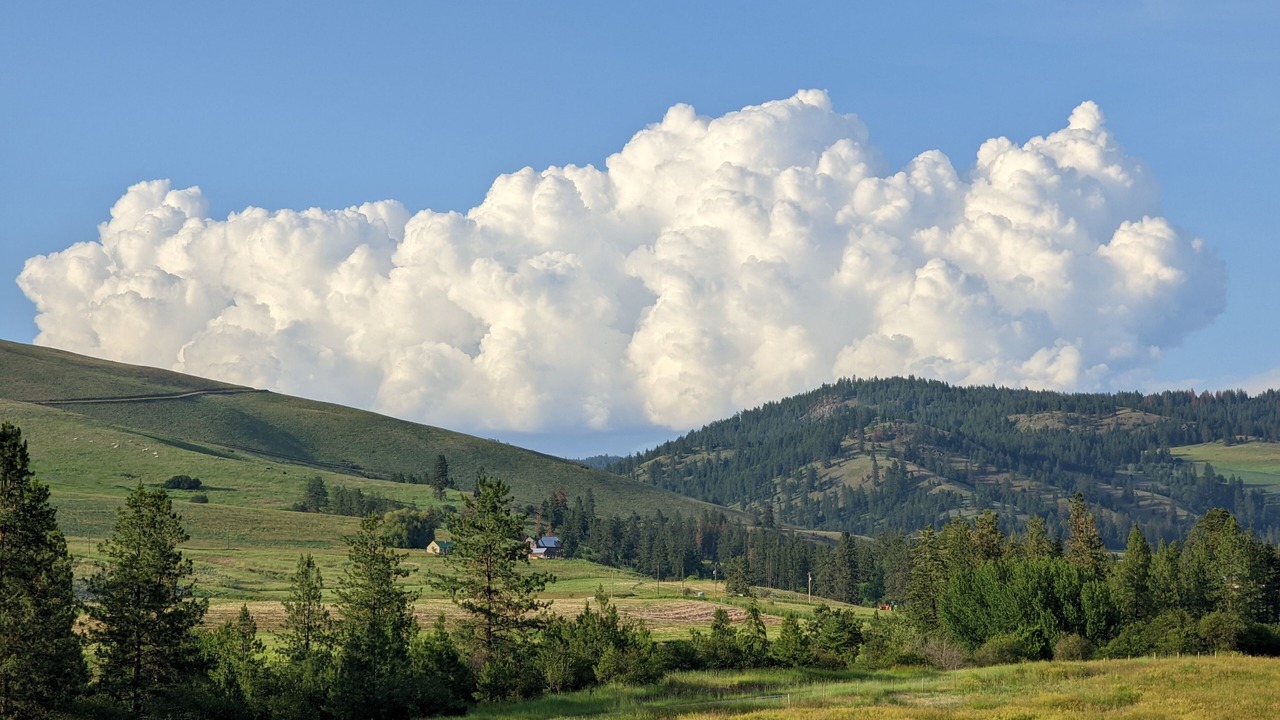 Photo of Others in Hunters