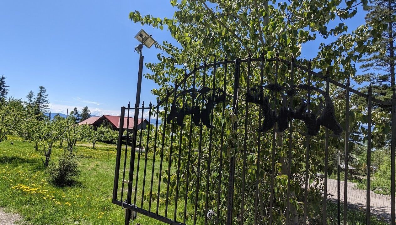 Photo of Outdoor in Bigfork