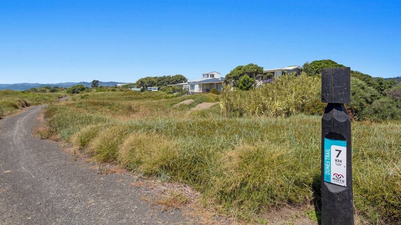 Photo of Others in Tirohanga