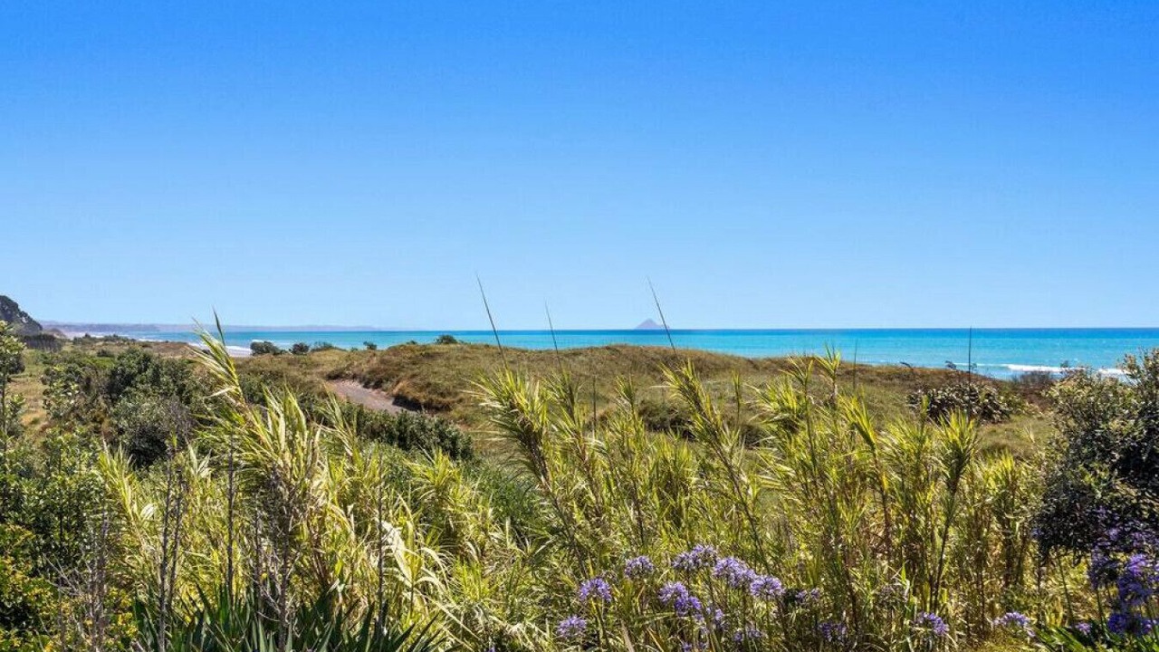 Photo of Others in Tirohanga