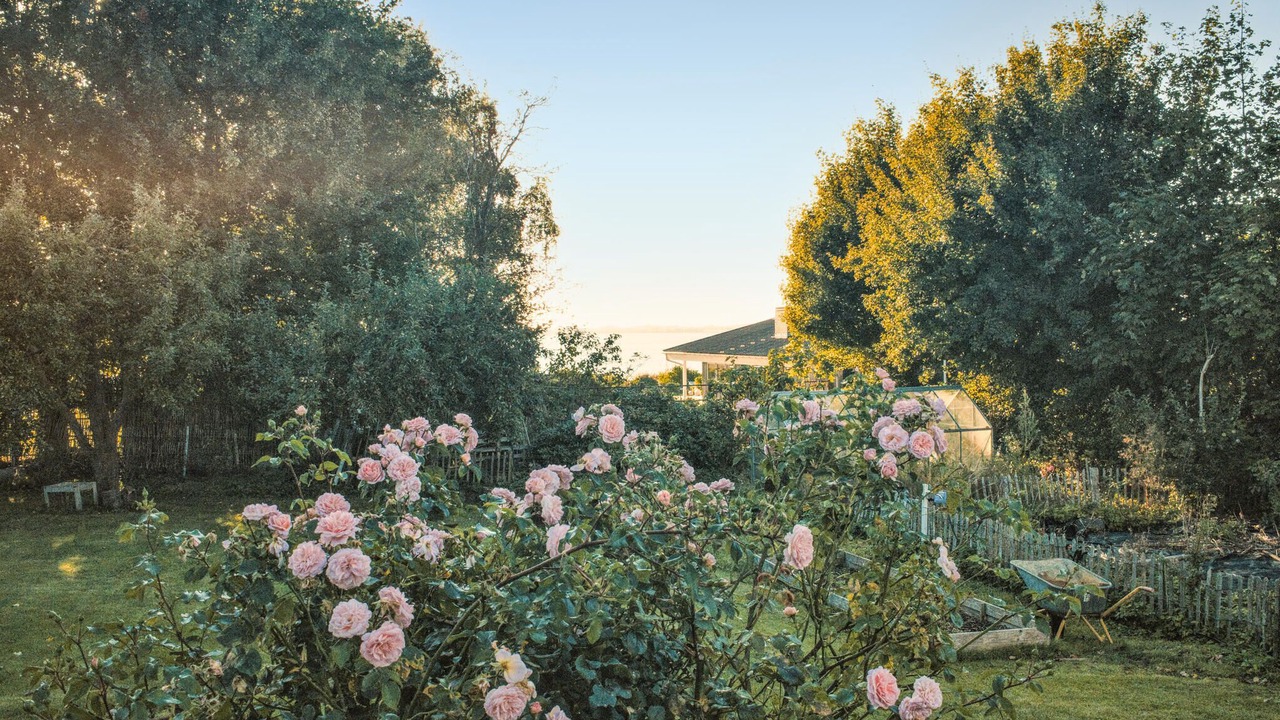 Photo of Others in Kirke Hyllinge