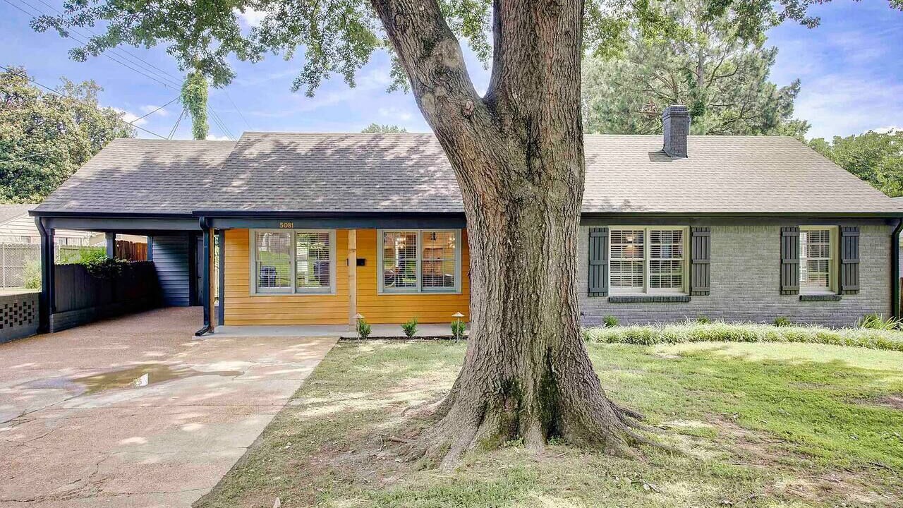 Photo of Outdoor in Memphis