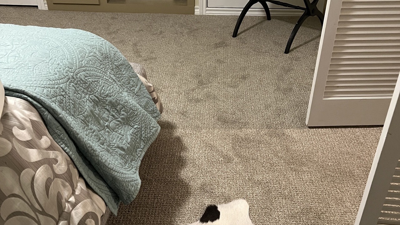 Photo of Bedroom in Phillips