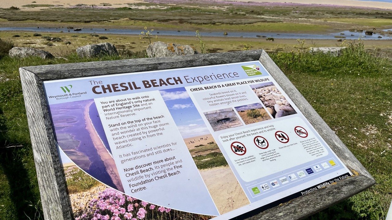 Photo of Outdoor in Portland