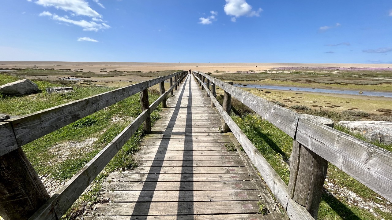 Photo of Others in Portland