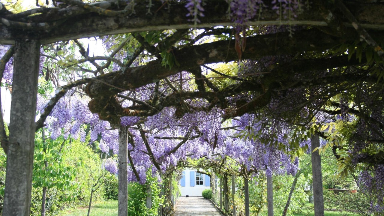 Photo of Outdoor in Mirandol-Bourgnounac