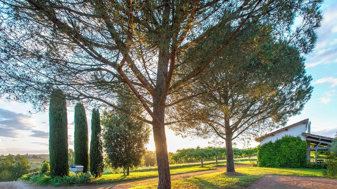 Photo of Outdoor in Montdurausse
