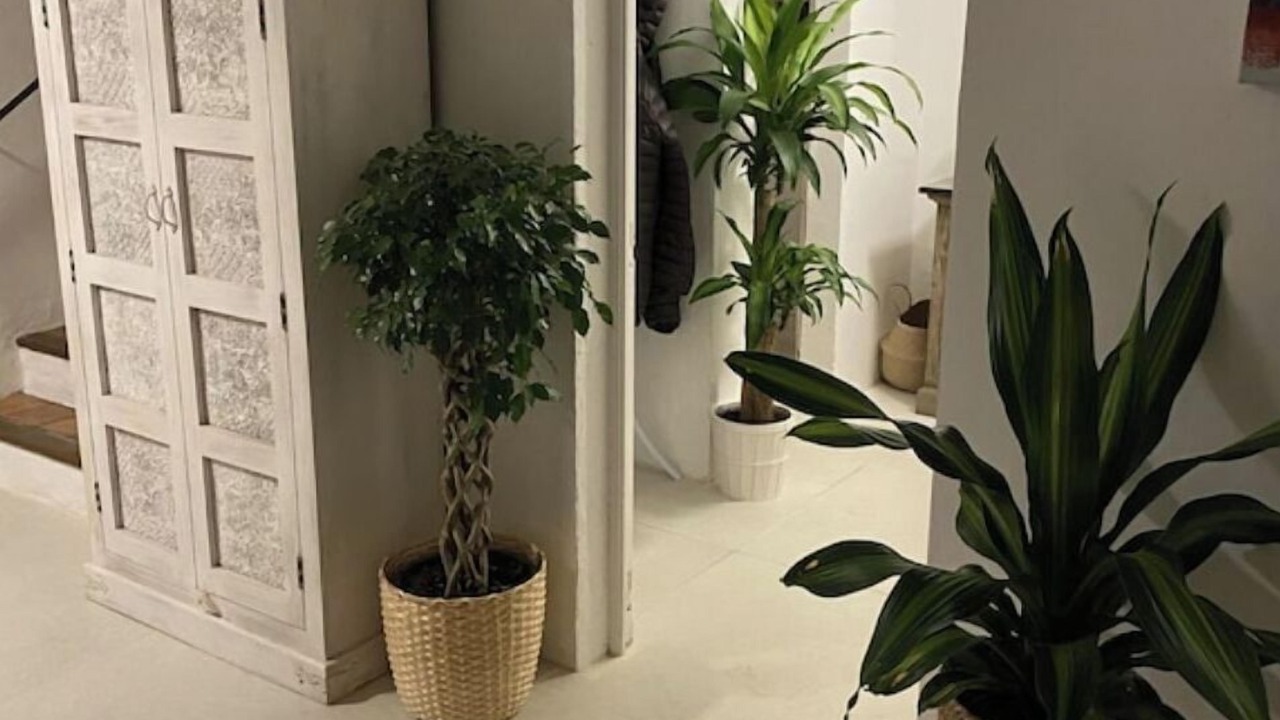 Photo of Others in Chateaurenard