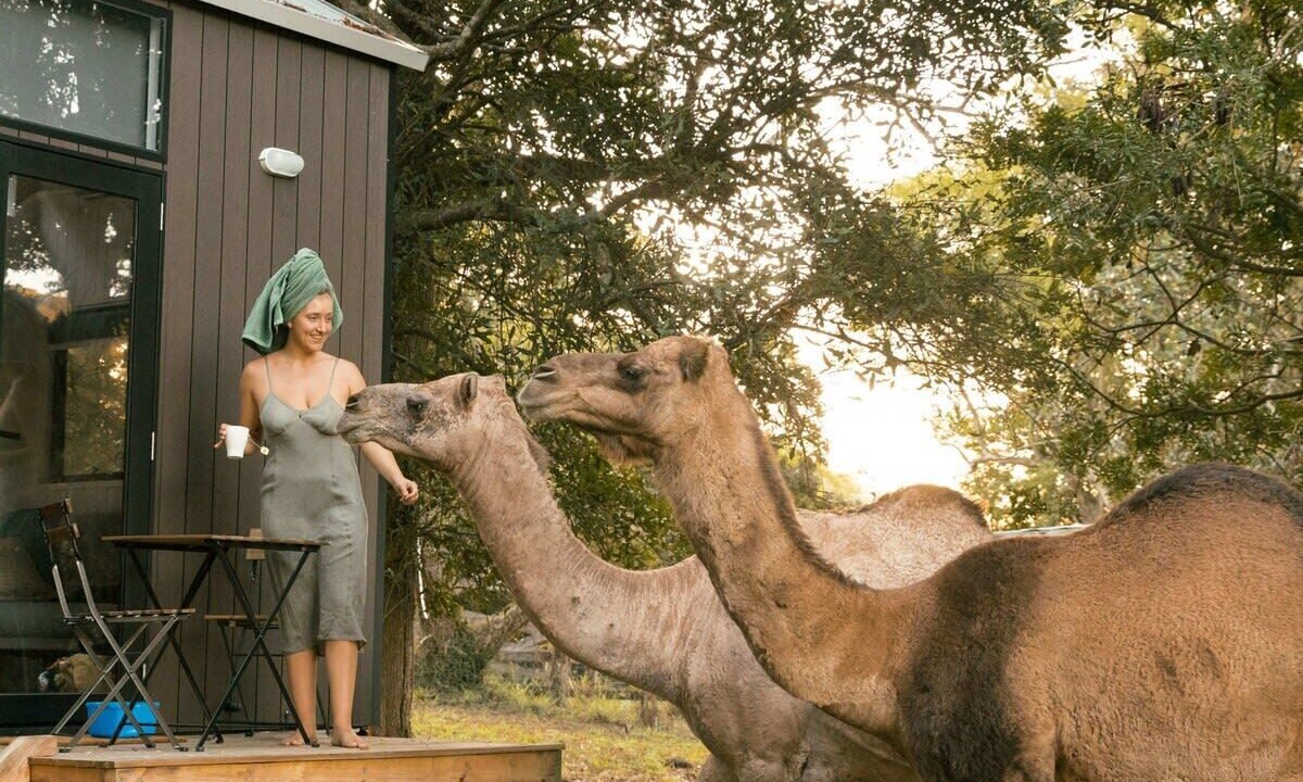 Photo of Outdoor in Darlington