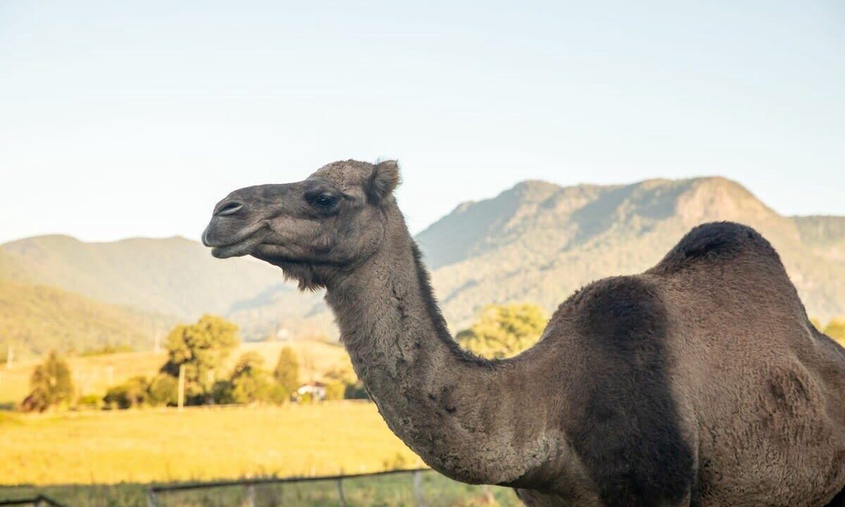 Photo of Bedroom in Darlington