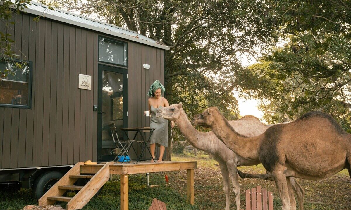 Photo of Outdoor in Darlington