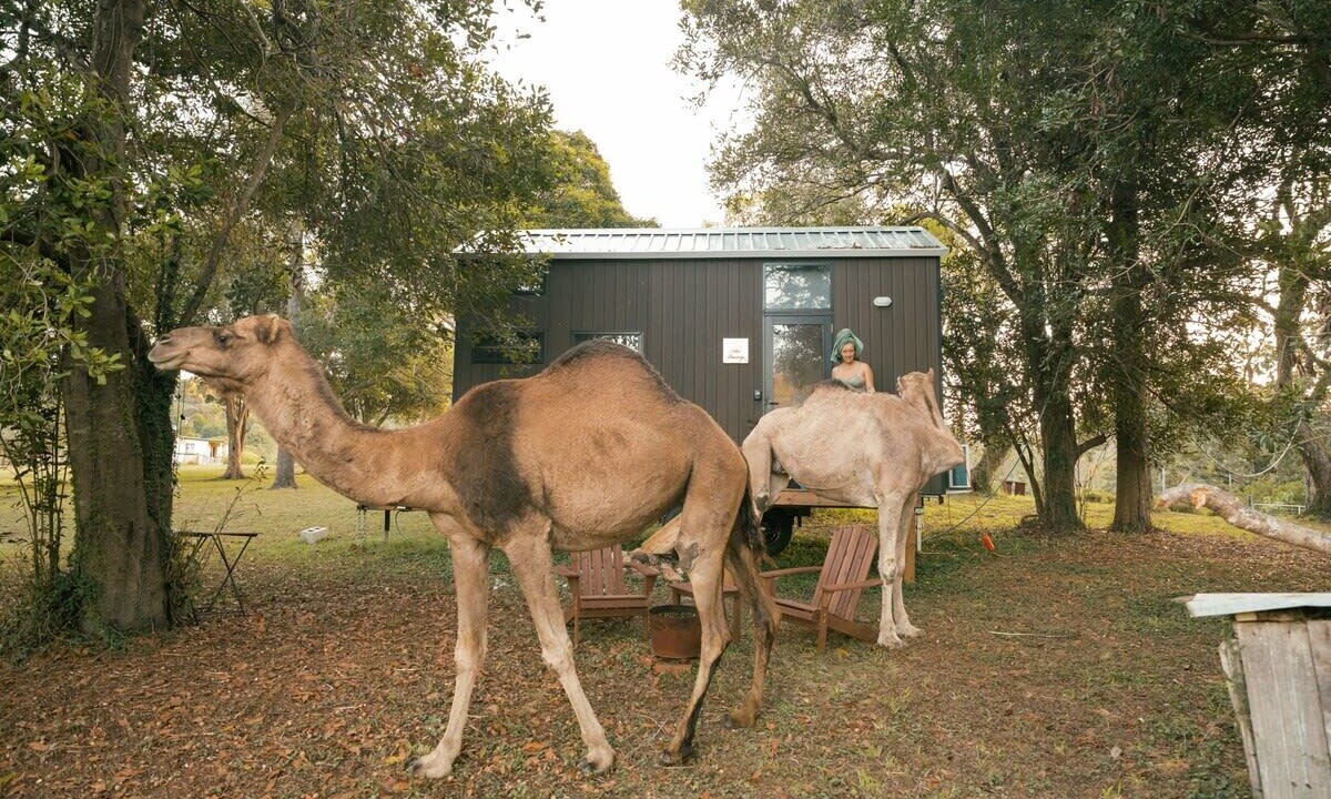 Photo of Outdoor in Darlington