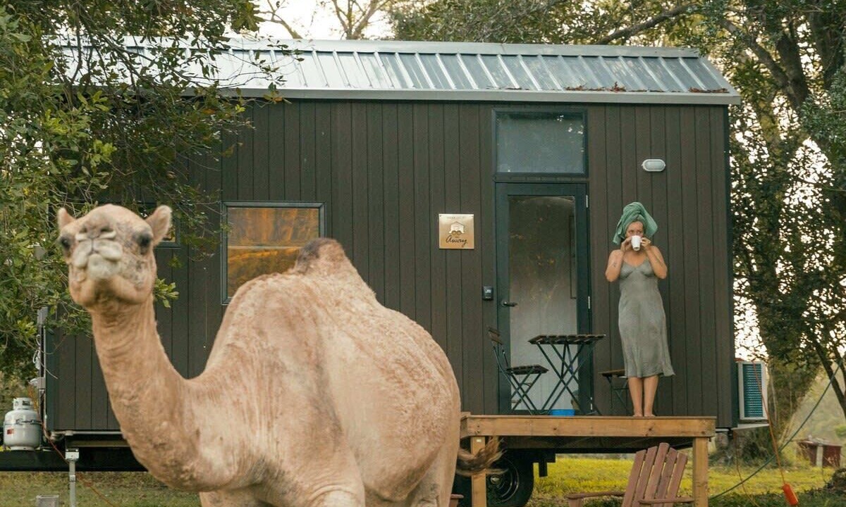 Photo of Outdoor in Darlington