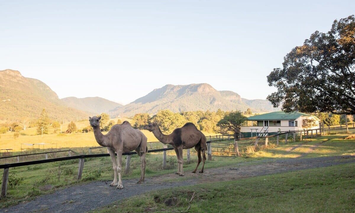 Photo of Others in Darlington