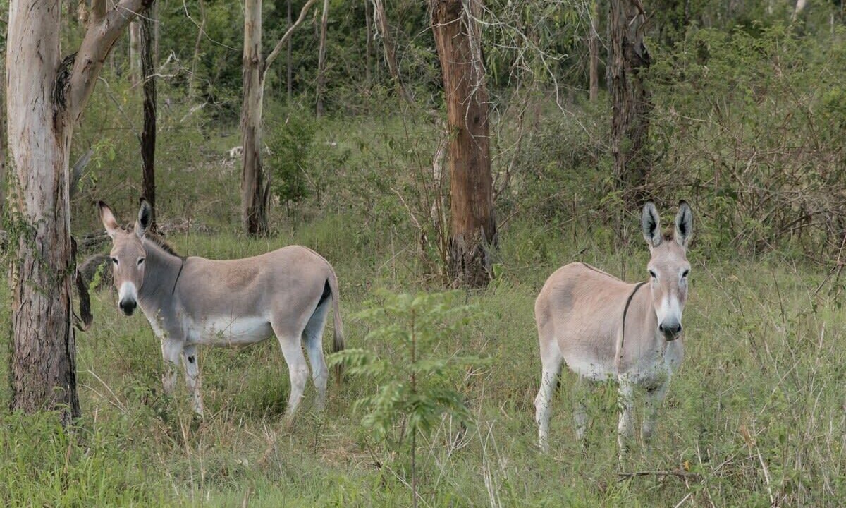 Photo of Others in Darlington