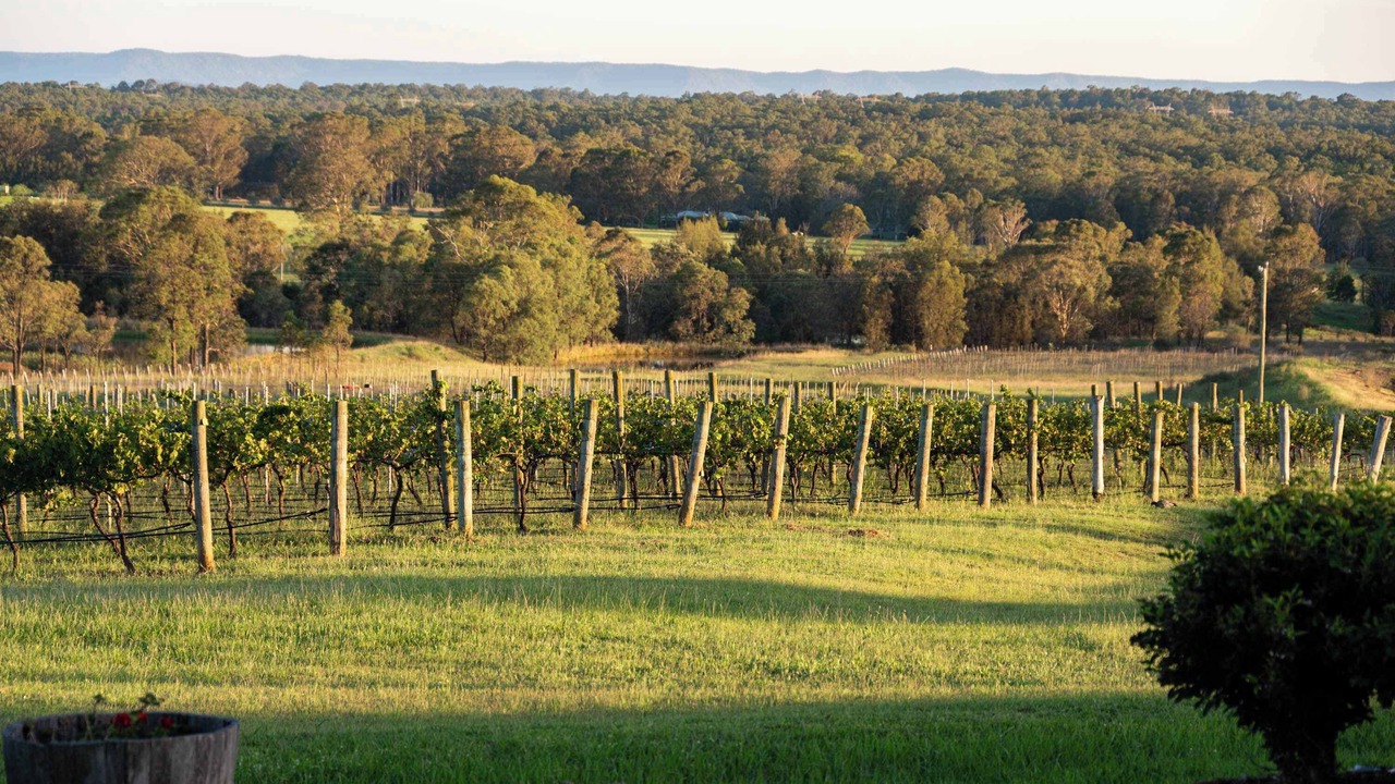 Photo of Others in Lovedale