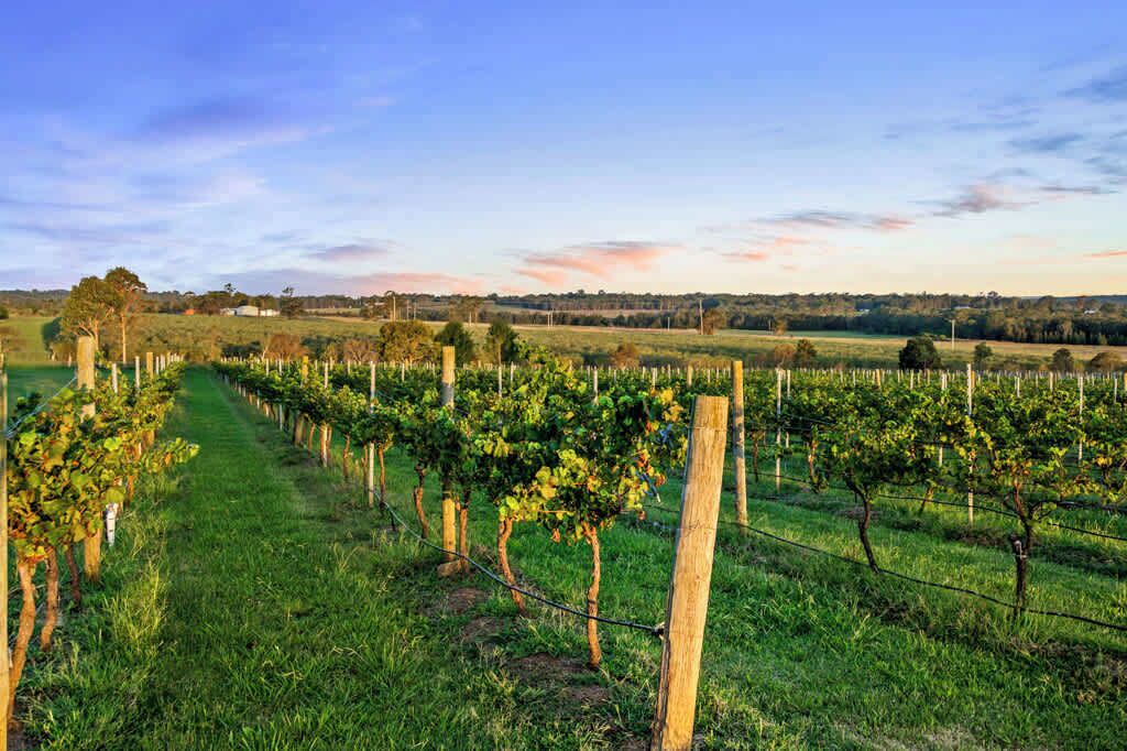 Photo of Others in Lovedale