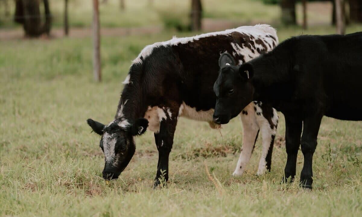 Photo of Others in Paterson