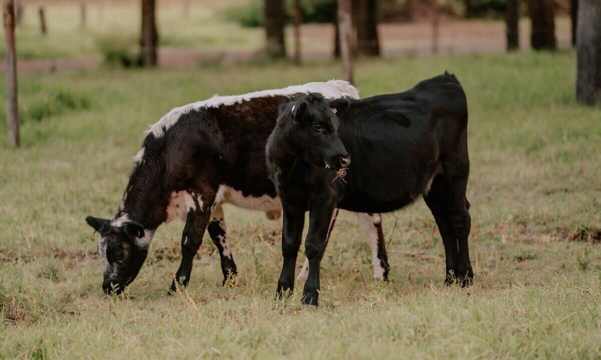 Photo of Bedroom in Paterson