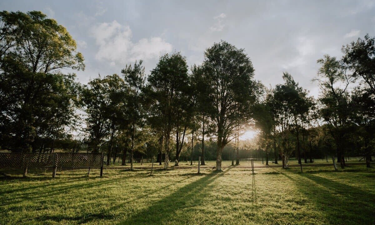 Photo of Others in Paterson