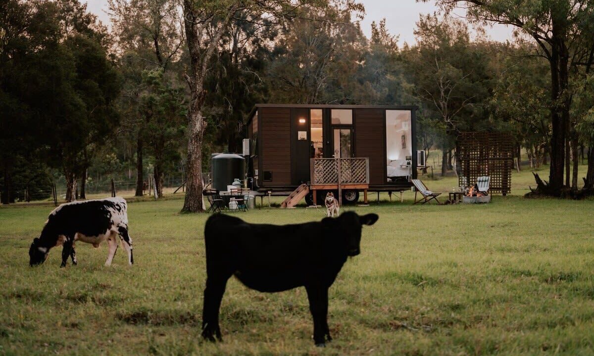 Photo of Outdoor in Paterson