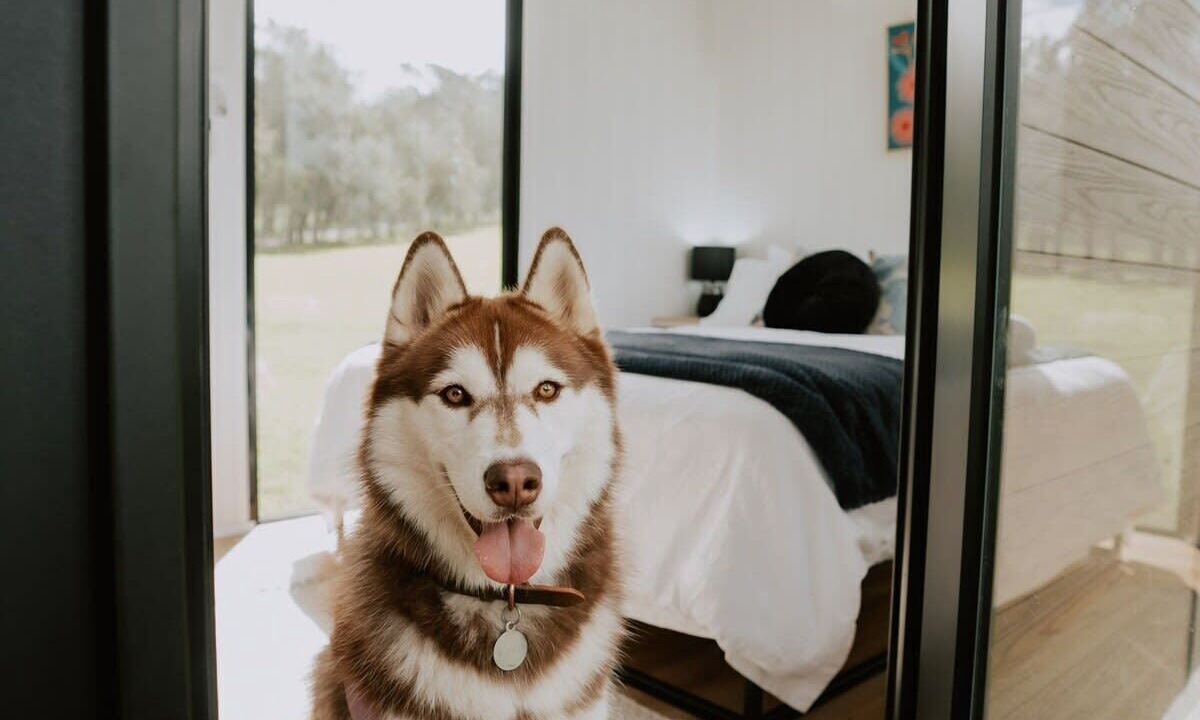 Photo of Bedroom in Paterson