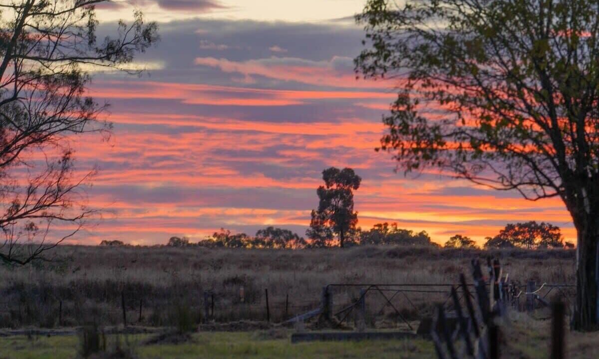 Photo of Others in Ulamambri