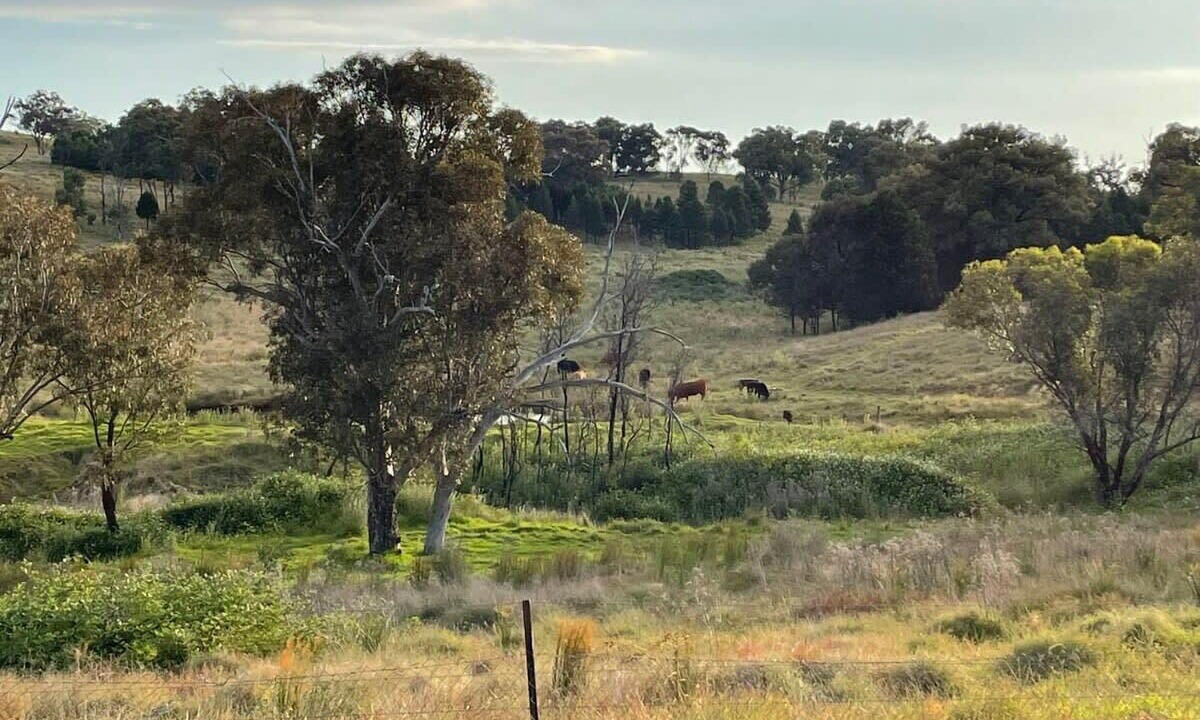 Photo of Outdoor in Ulamambri