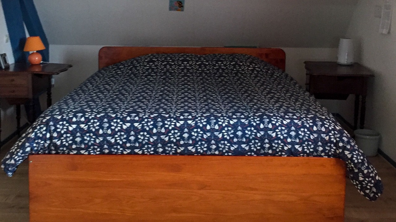 Photo of Bedroom in Montlouis-sur-Loire