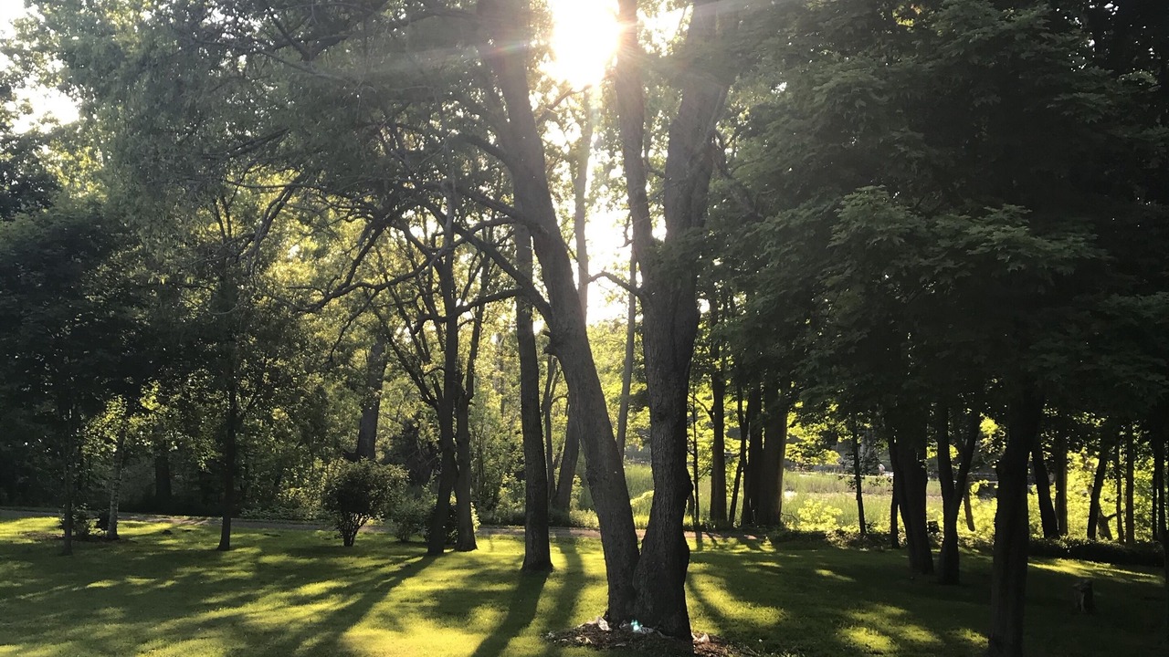 Photo of Outdoor in Leeds and the Thousand Islands