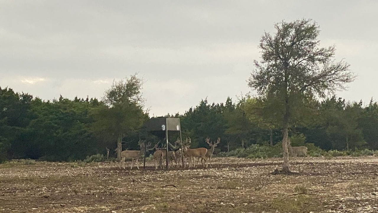 Photo of Outdoor in Lampasas