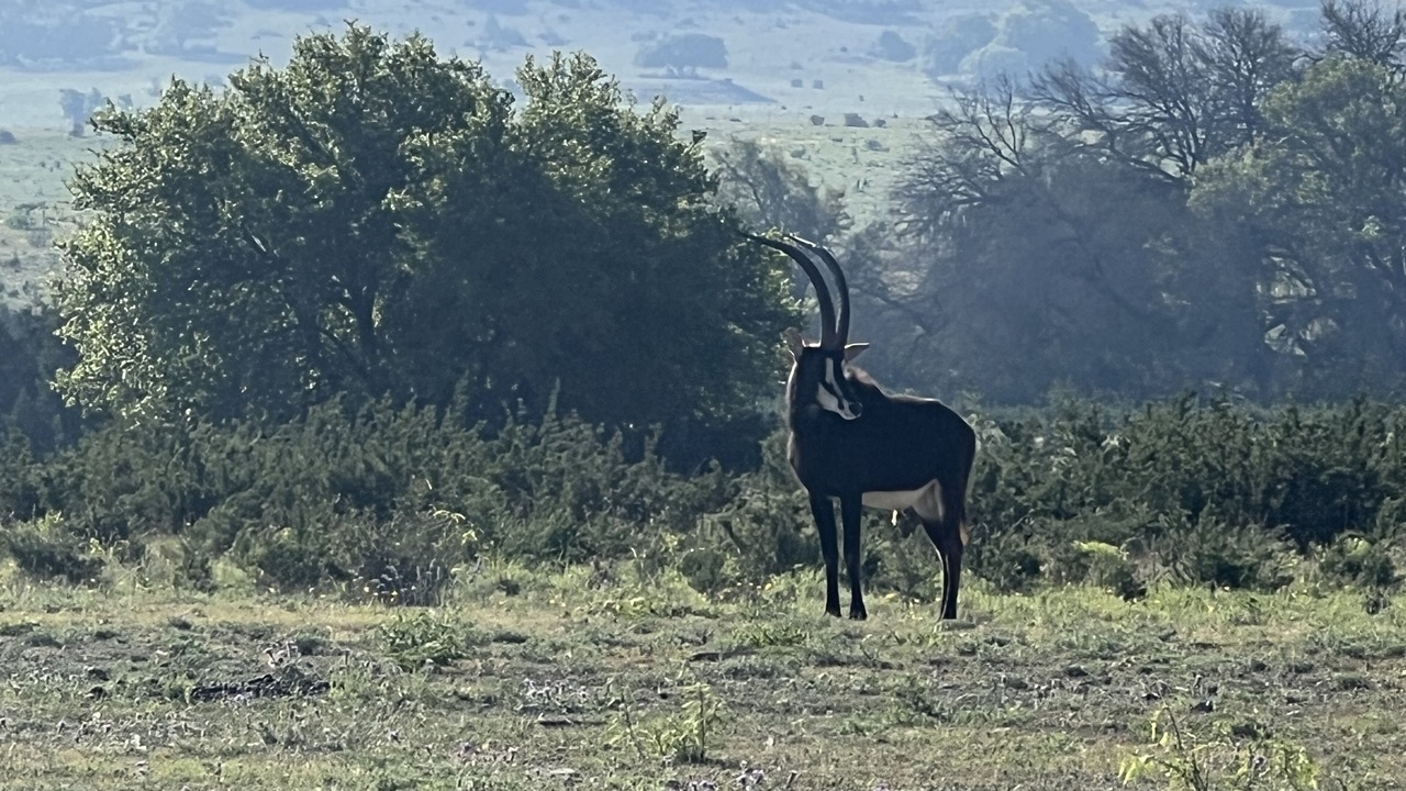 Photo of Outdoor in Lampasas