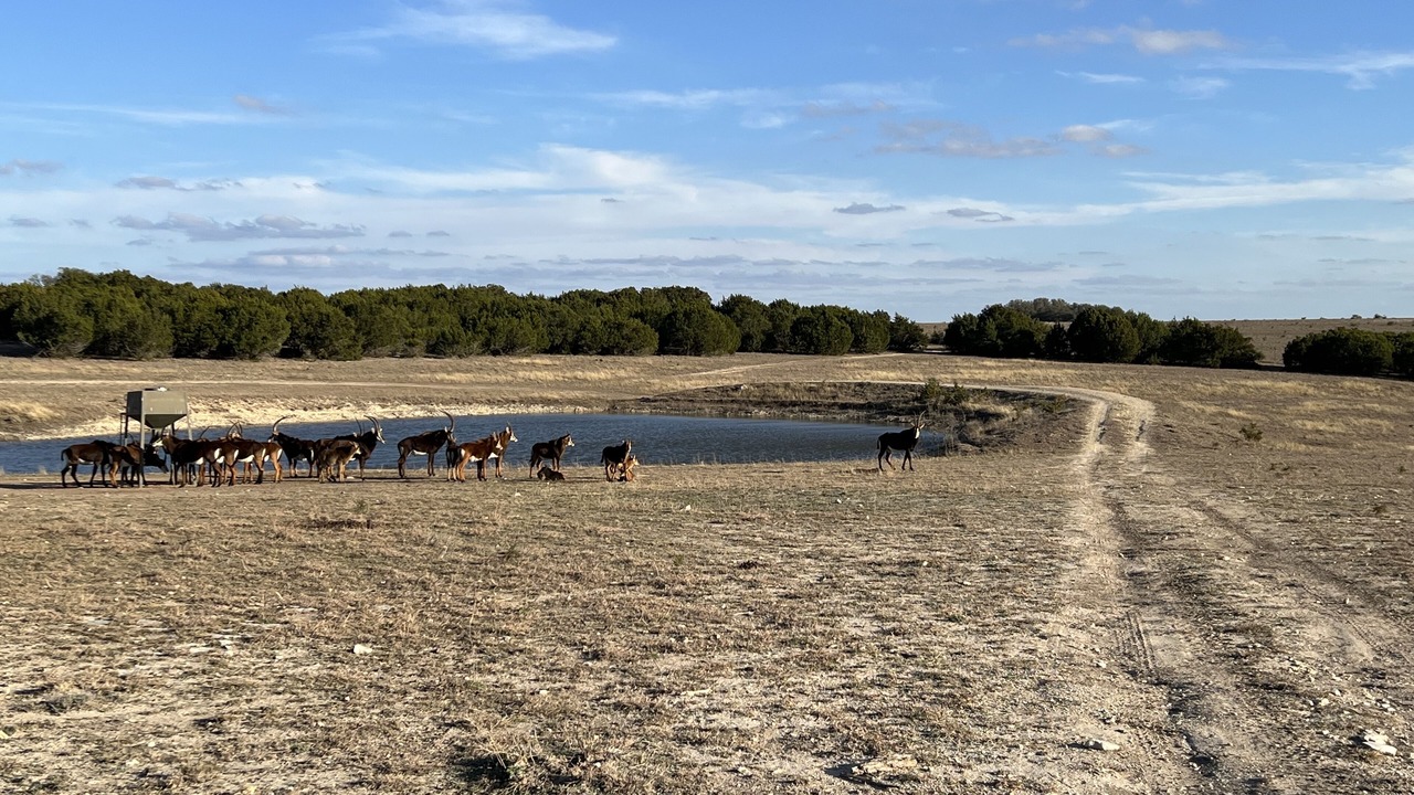 Photo of Outdoor in Lampasas