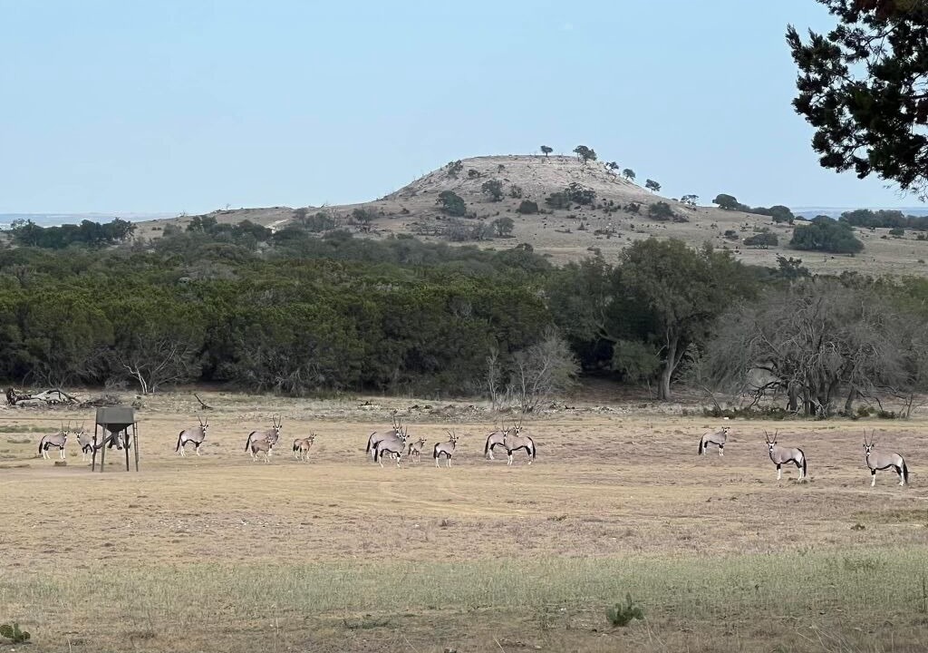 Photo of Others in Lampasas