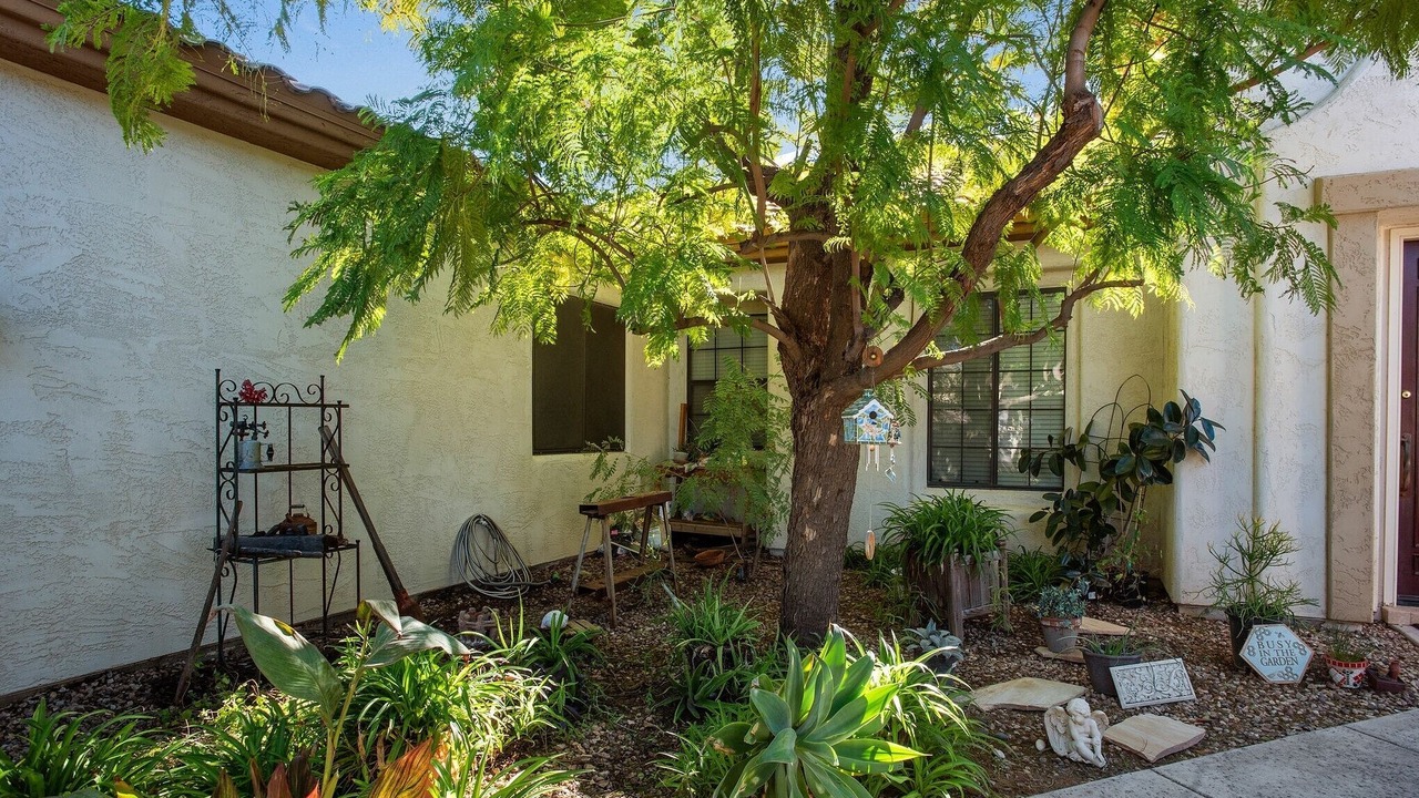 Photo of Outdoor in Litchfield Park