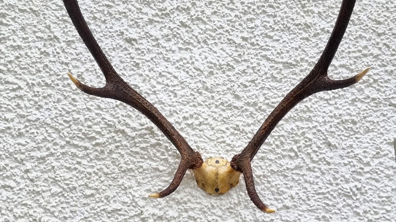 Photo of Others in Ardvasar