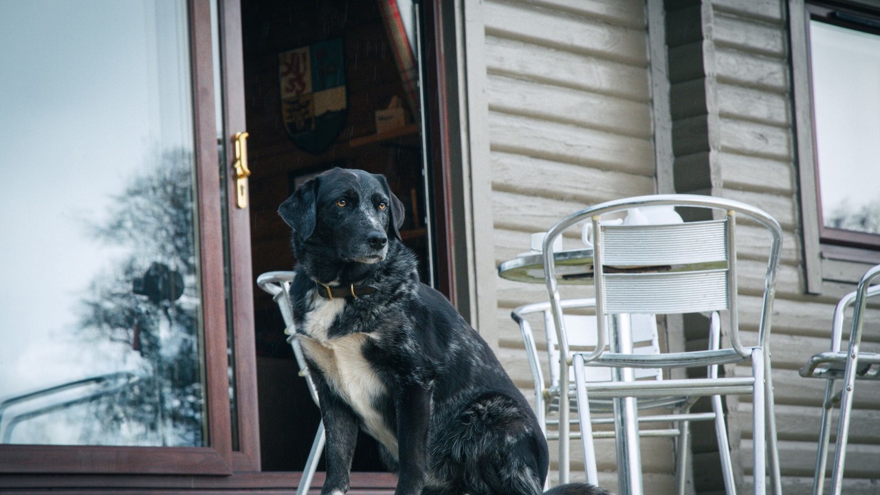 Photo of Others in Ardvasar