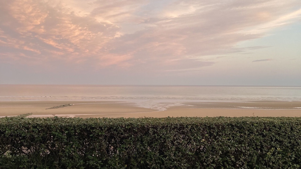Photo of Others in Cabourg