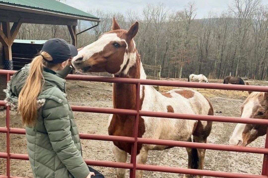 Photo of Others in Lackawaxen