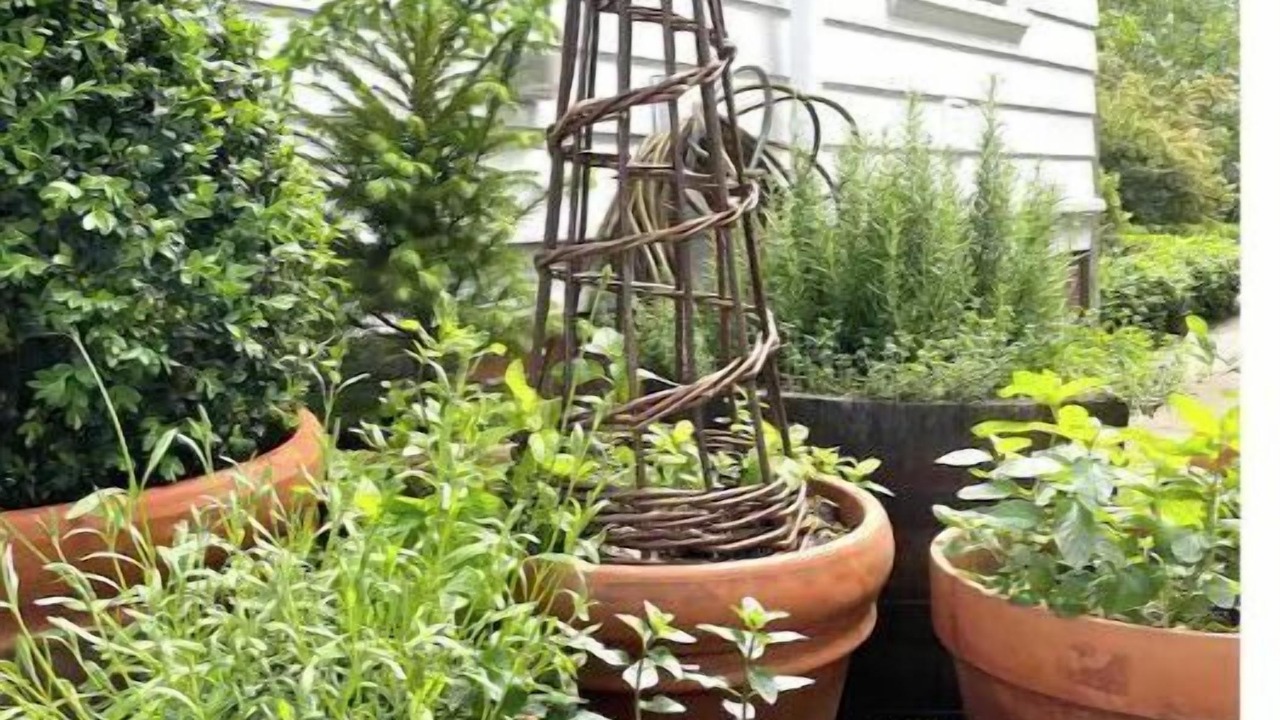 Photo of Outdoor in Upper South Providence