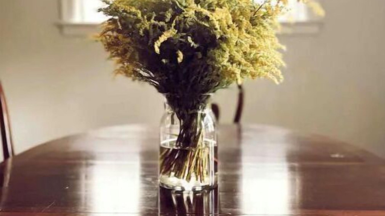 Photo of Others in Upper South Providence