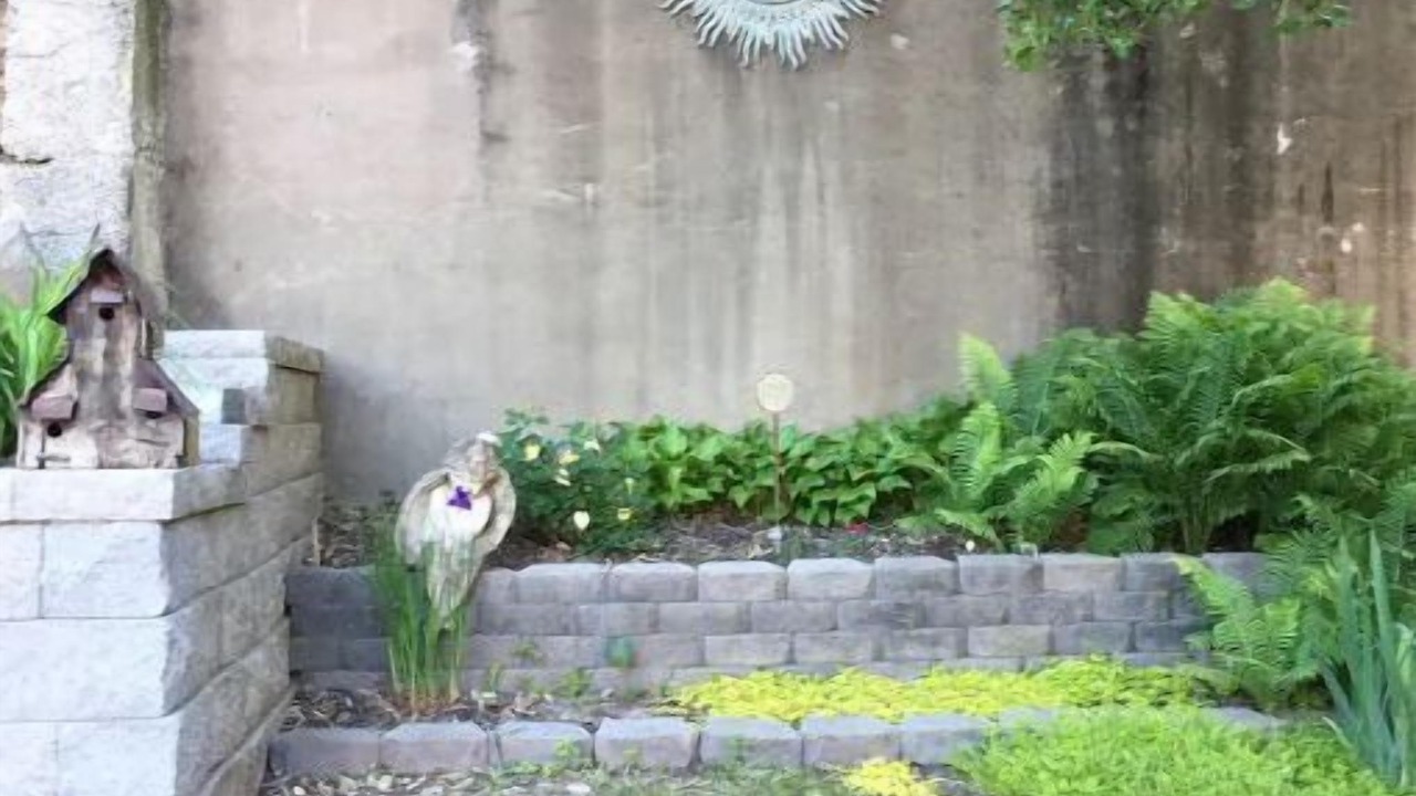 Photo of Outdoor in Alton