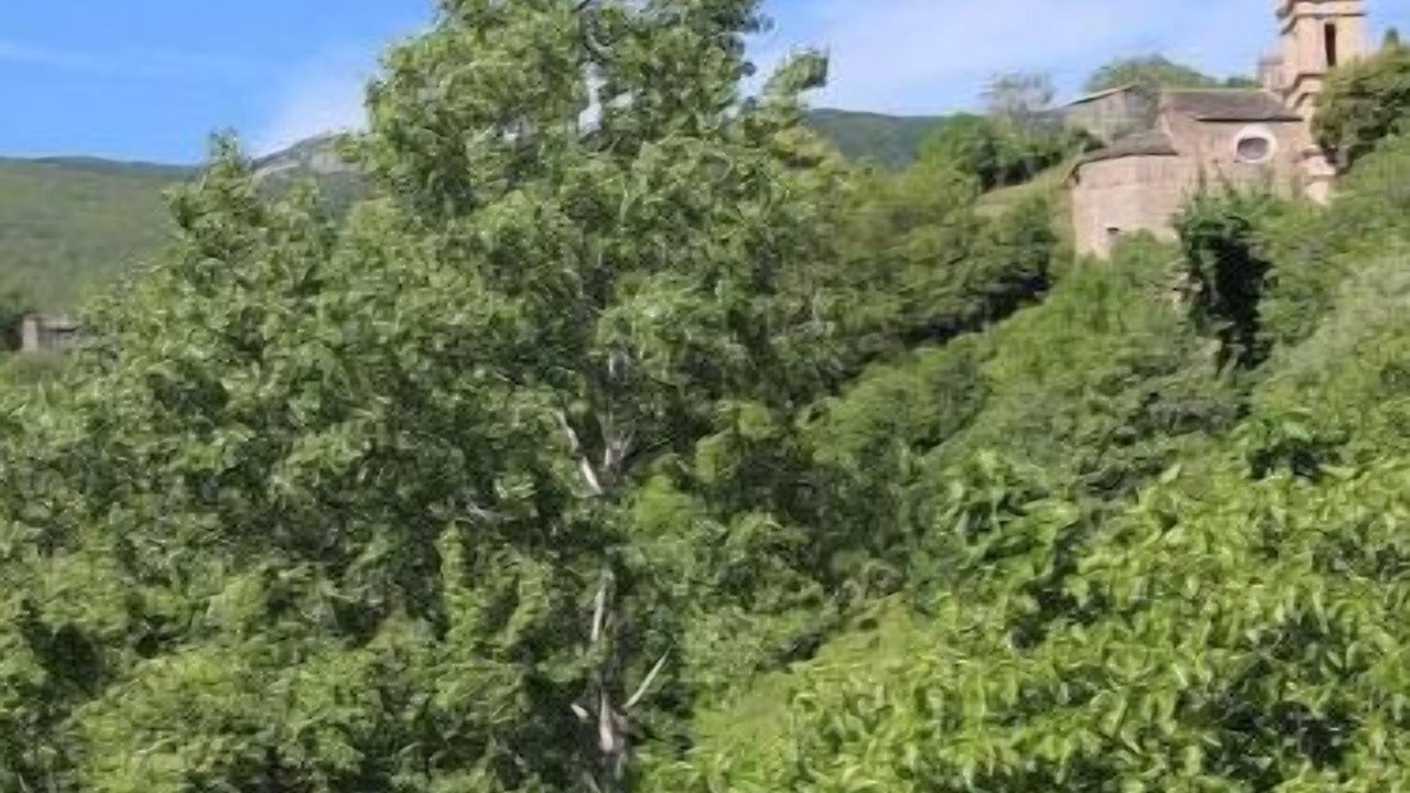 Photo of Outdoor in Carcheto-Brustico
