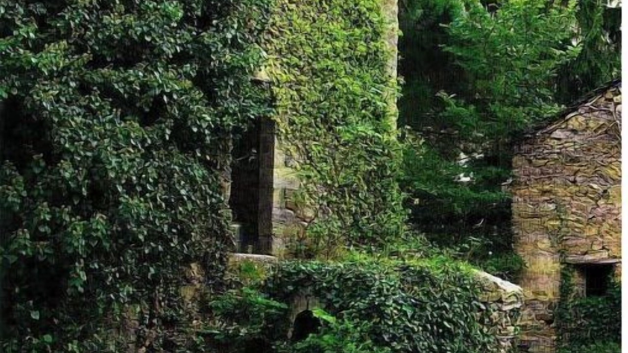 Photo of Outdoor in Carcheto-Brustico