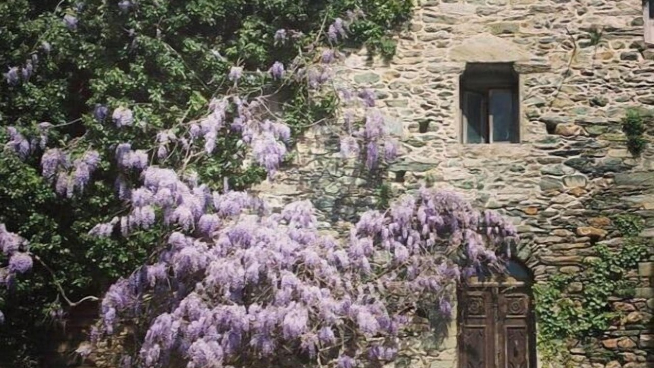 Photo of Outdoor in Carcheto-Brustico