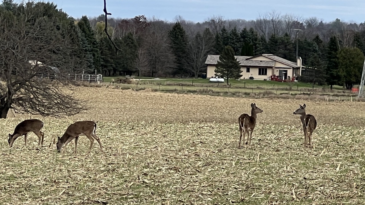 Photo of Others in Edgerton
