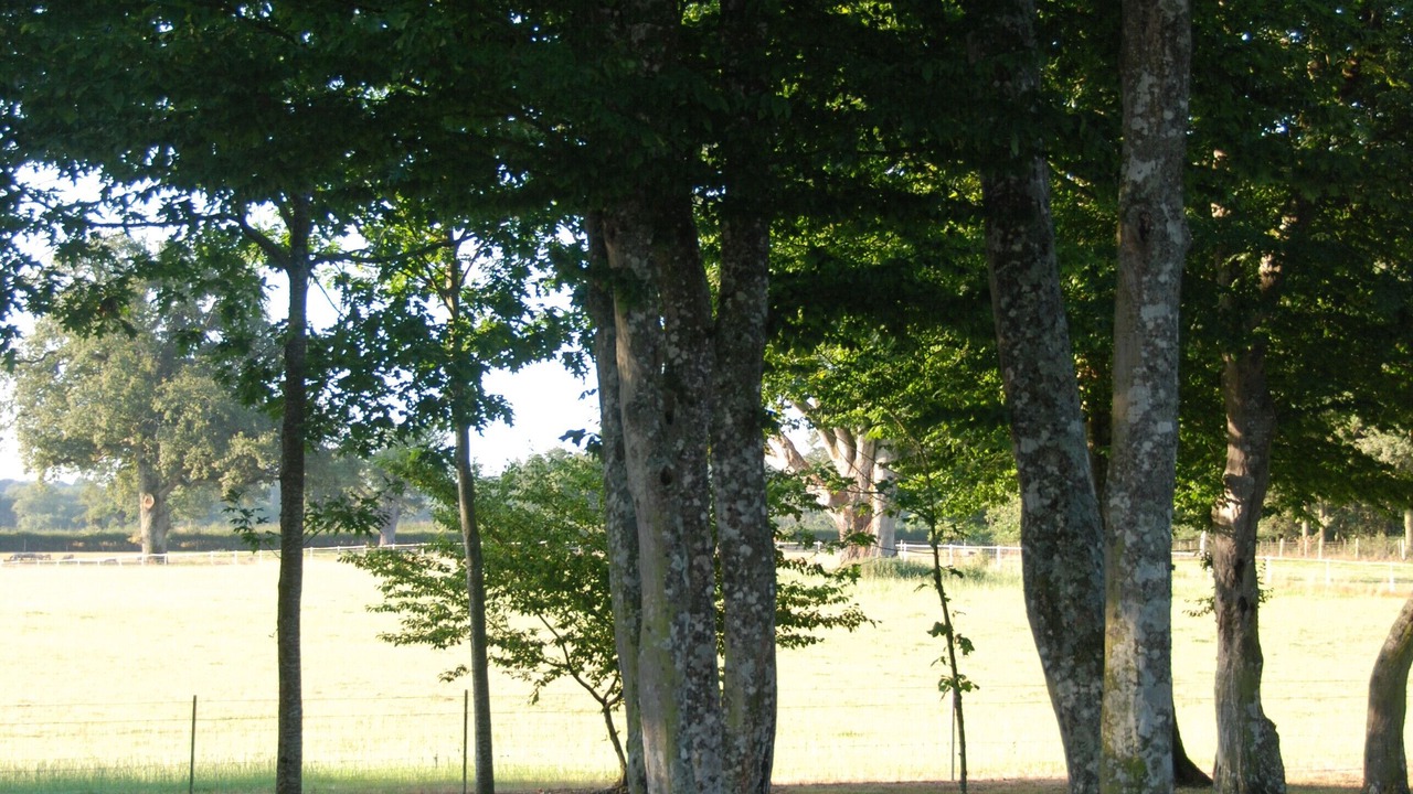 Photo of Outdoor in La Peyratte