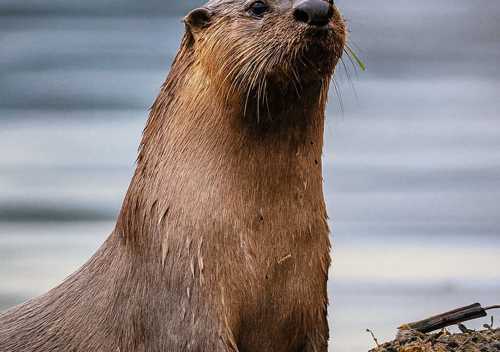 Photo of Others in Evans