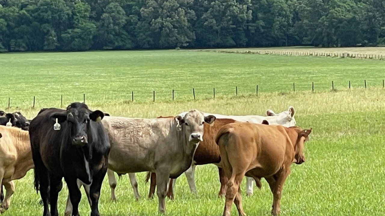 Photo of Outdoor in Murfreesboro